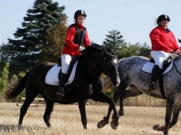 554736_10151090368883585_1594206641_n